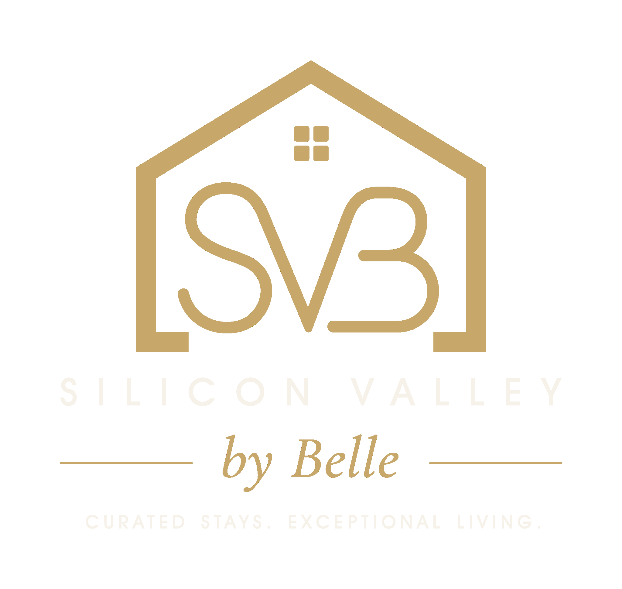 Silicon Valley by Belle