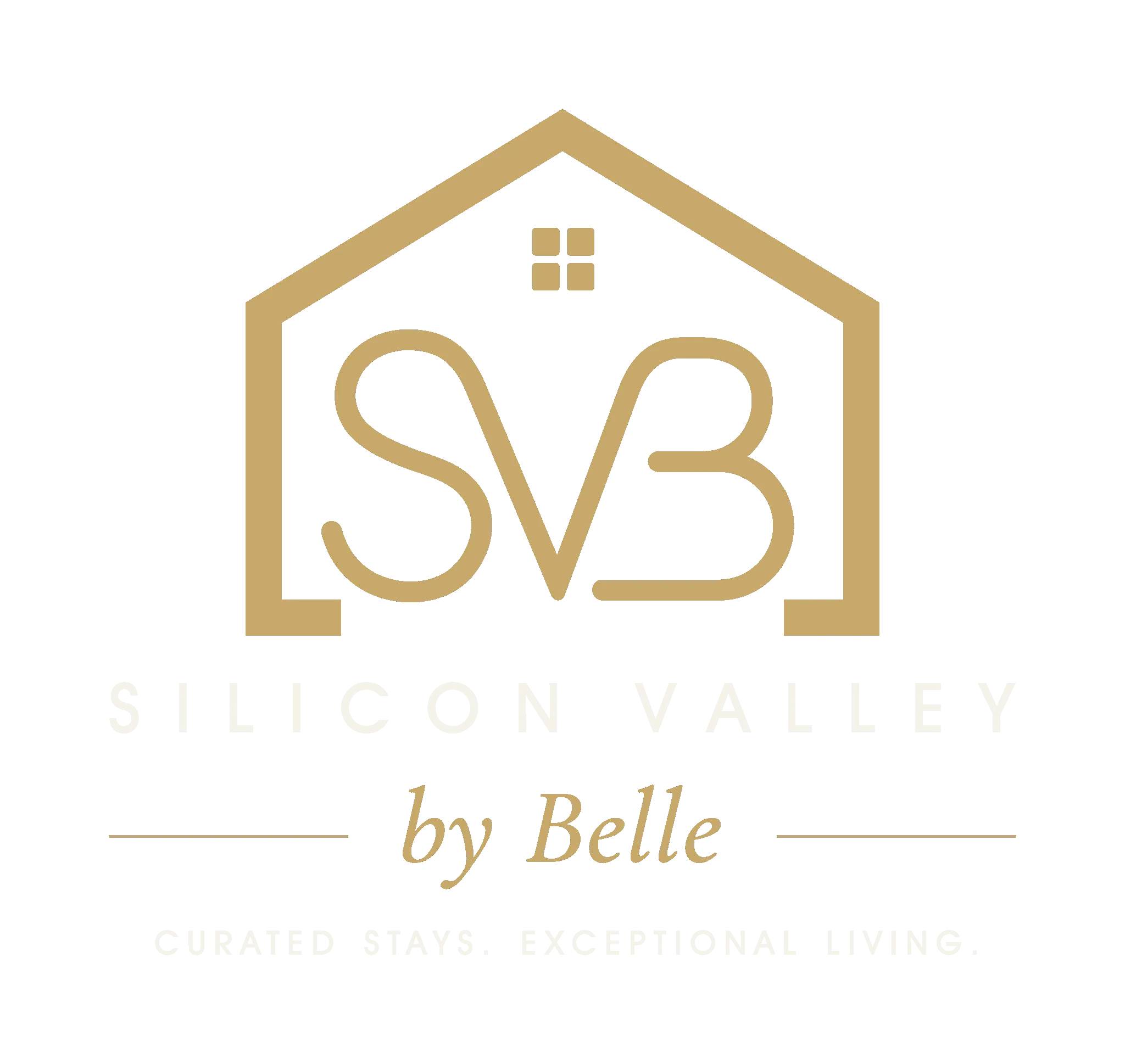 Silicon Valley by Belle
