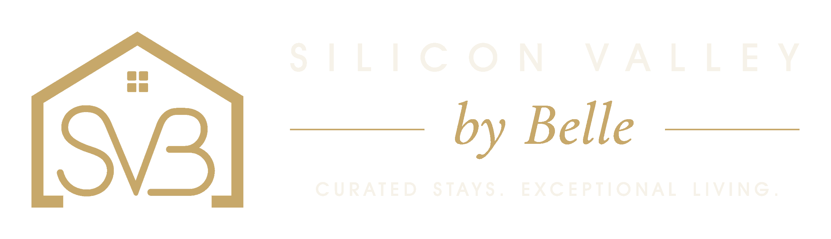 Silicon Valley by Belle